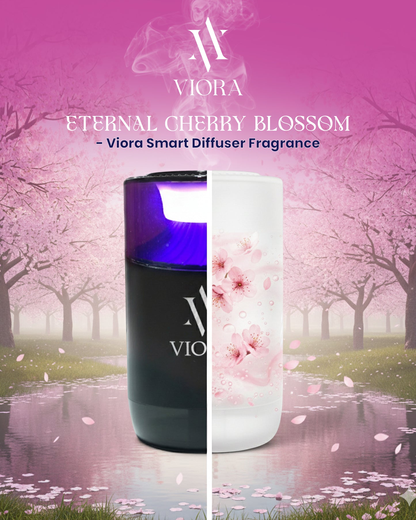 Eternal cherry blossom - Fragrance